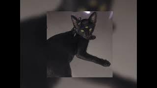 DRXG ADXICTION - I'll die next summer (sped up / nightcore)