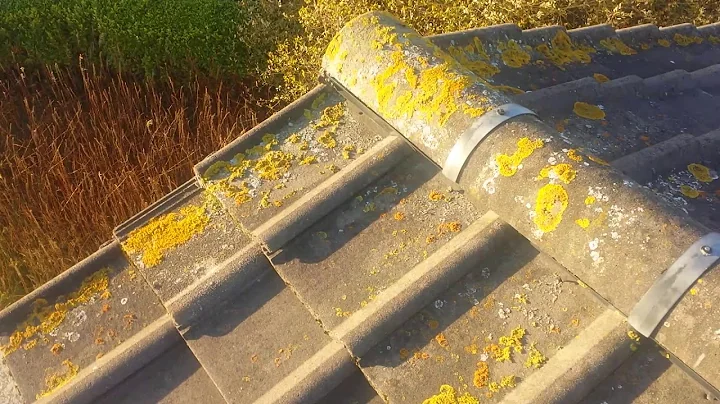 Belfast Builders, Primacy Church, Balloo Road, Bangor