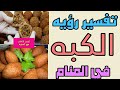 تفسير رؤيه حلم الكبه وأكلها في المنام للعزباء والمتزوجه والمطلقة والرجل والحامل سمعها