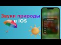 Фоновые звуки природы в iOS (дождь, ручей, океан): как включить? | Яблык