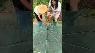 🐟⛱️ Umbrella-Style Collapsible Fish Trap and River Fishing Hack