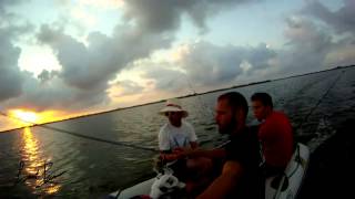 Pescant TallaAms a RiuMar
