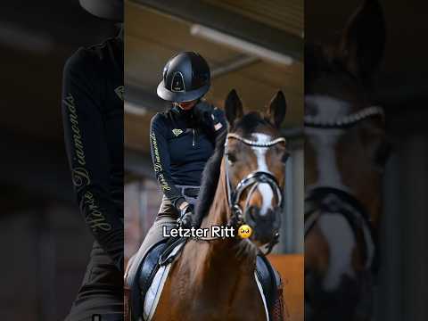 Das hat 2025 ein bisschen mein Herz gebrochen 💔 Aber ich weiß ja, dass er es jetz auch gut hat🐴🥰