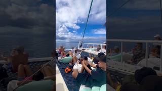 West Maui Snorkel Half Day Adventure
