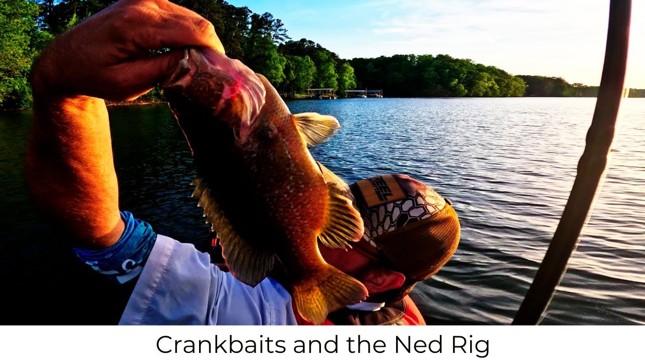 Once Again NED RIGGING Hartwell Brown Road Boat Ramp YouTube