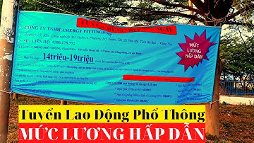 Tìm Việc Làm Nhanh - Mức Lương Hấp Dẫn KCN Mỹ Xuân A Bà Rịa Vũng Tàu