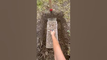 What’s In This Box?