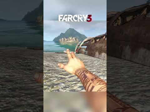 Far cry 3 insanity