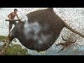 A Dramatic Day of Wild Honey Hunting and How the Hunter Harvests Honey from a Giant Beehive