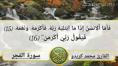 تلاوة خاشعة من سورة الفجر _ بصوت القارئ محمد كريدو حفظه الله