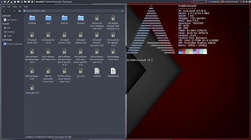 ArcoLinux : 890 Installing the Personal folder on ArcoLinuxD Qtile