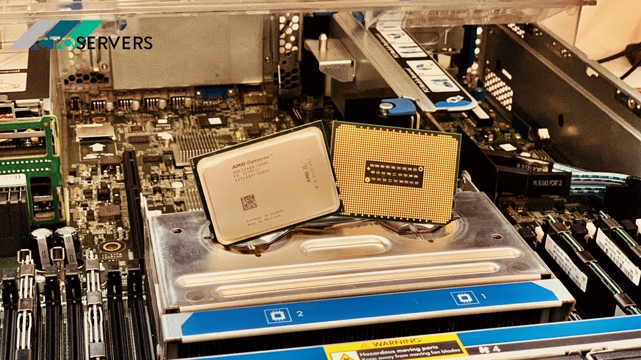 Rendering with server AMD 12 Core CPU's , V-Ray , Cinebench and Corona Renderer . CTOservers