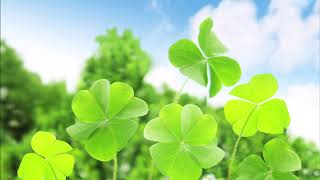 #RichardClayderman #Piano ＃癒しのピアノ　「作業用BGM　リチャード・クレイダーマン特集１」Piano:Yuka Saito