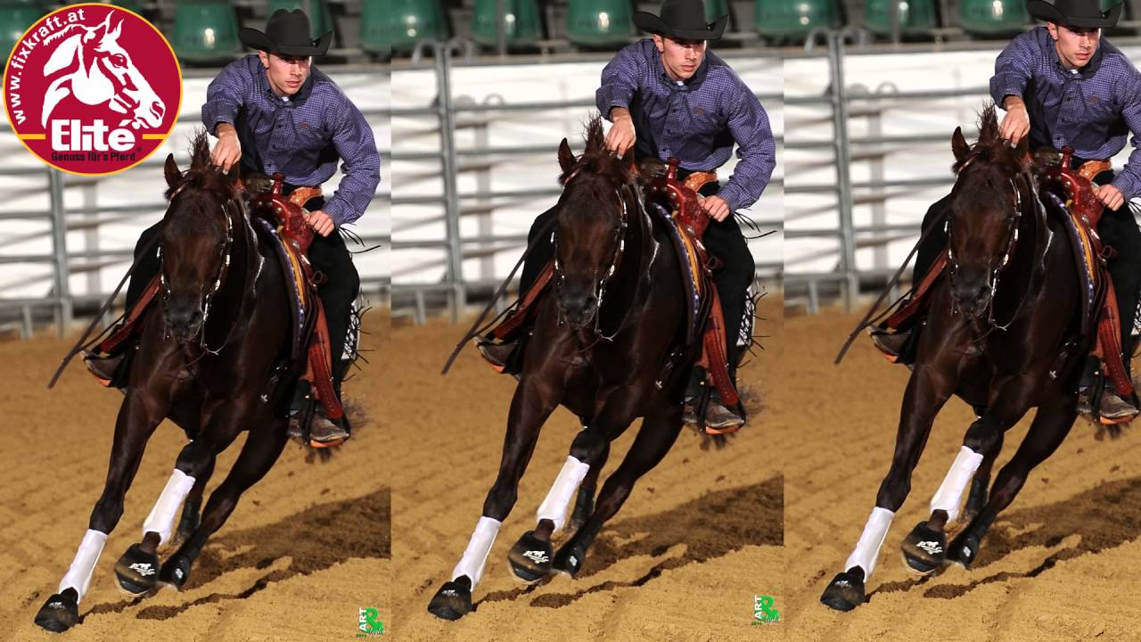 Fixkraft Elité Pferdefutter