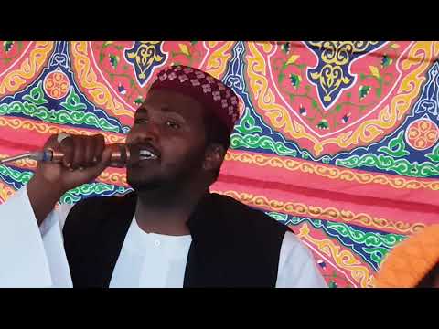 من الحلو مابحول