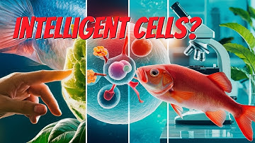 Are Our Cells More Intelligent Than We Thought?