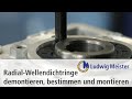 Radial-Wellendichtring demontieren, bestimmen und wieder montieren