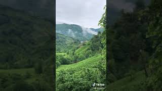 Güzel Köyüm Resimi