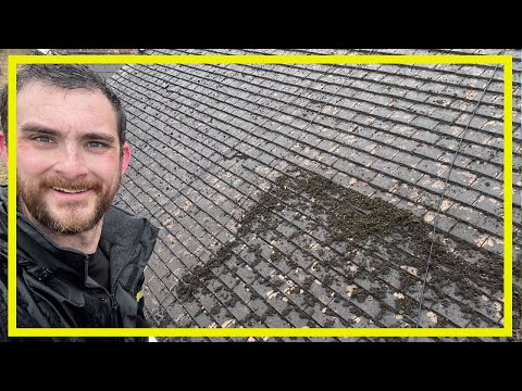 Scraping a Roof in the RAIN?! Roof Cleaning Video