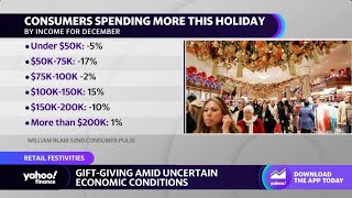 Consumers ‘appear a little bit more fragile’ going into the holidays: Analyst