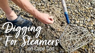 Digging For Steamers on Cape Cod screenshot 2