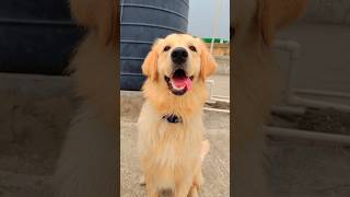 And I Turn 1 Today Jinny Baby