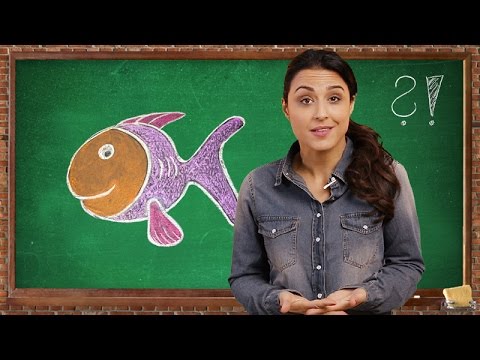 Video: Wie Fische Atmen
