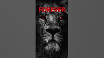 LION ATTITUDE | Lion Mentality Status #shorts