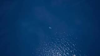 Live Fortnite Évènement Chapitre 2 Début Chapitre 3 Frps5Gamplay