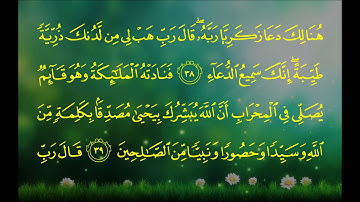 سورة آل عمران (الآية 30 ~ الآية 44) - بندر بن عبدالعزيز بليلة