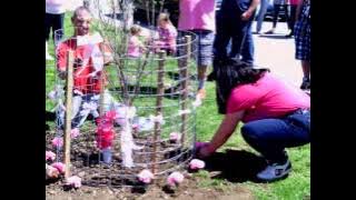 Remembering  the life of Tarin Mock.. R.I.P. Angel