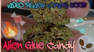 #88 Alien Glue Candy (Product Review Coming Soon)Rise Dispensary