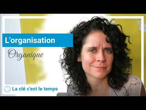 L'organisation créative est une organisation organique