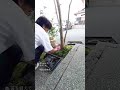 苔を植えました。今回はスナゴケ（砂苔）