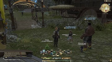 Final Fantasy XIV Hackers
