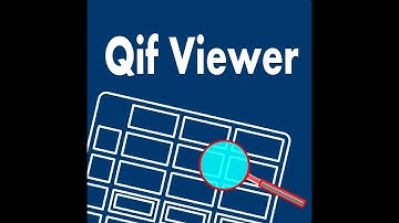 qif viewer