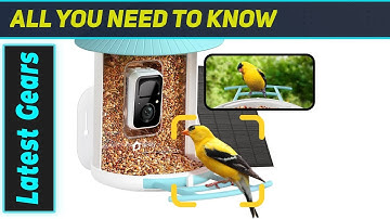 Best Smart Bird Feeder? NETVUE Birdfy AI Review