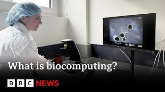 What is biocomputing BBC News