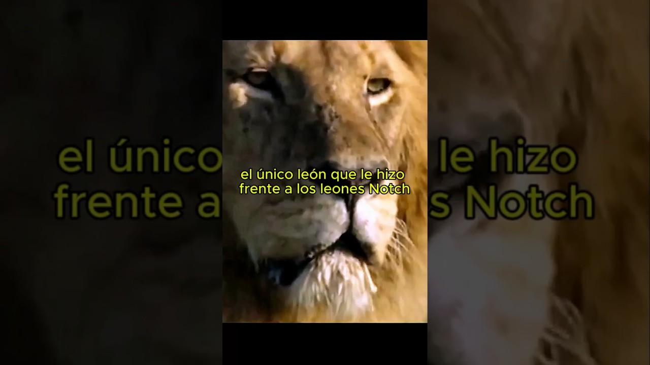 FANG, el león que se enfrentó a los leones Notch y cocodrilos. 