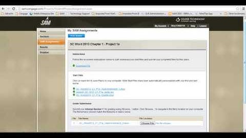 SAM 2013 -- Completing a Project