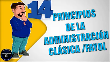 ¿Qué importancia tienen los 14 principios de gestión en la organización?