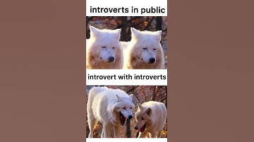 Introvert Memes | Funny Introvert Memes Compilation #MEMES #Shorts 232