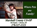 marshall county co op benton kentucky mayfield .wmv