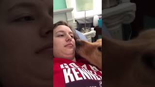 Funny dogs keep you laughing 😅. #dogsshorts #funnydogs #interestingdogs