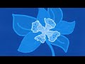 BlUe SeEd