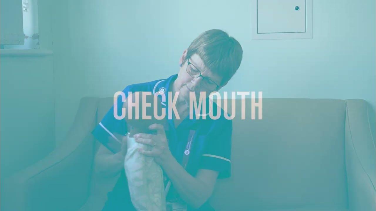 Nurse Sue's Demonstration in Baby Choking YouTube