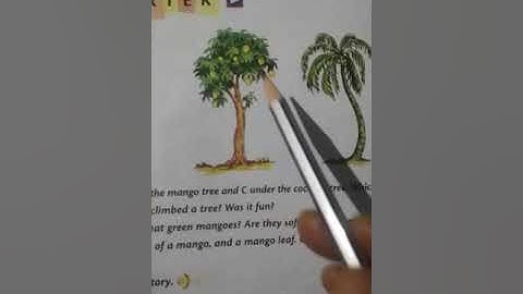 English Class 1 chapter 6 part 1 by gauri Kumari