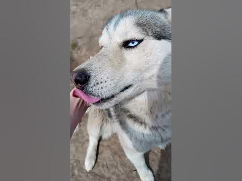 месе - YouTube