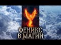 Phoenix The Essence Of The Phoenix In Direct Portal Magic Phoenix Spirit