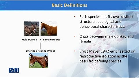 Basic Definitions | Principles of Systematics | ZOO511T_Topic013